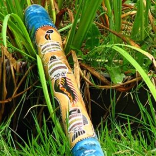 Ein Didgeeridoo mit verschiedenen Mustern. - Didgeridoo Workshop in Sachsen.