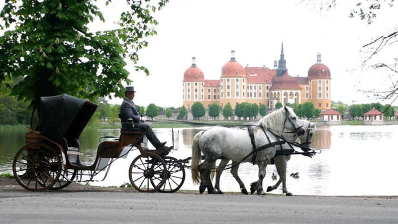 Kutsche vor dem Schloss Moritzburg macht eine Kutschfahrt