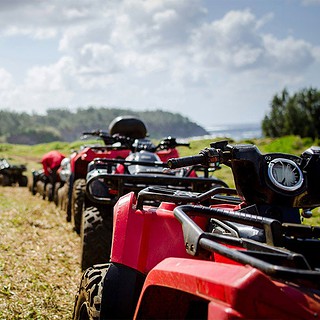Mehrere rote Quads stehen auf einem Feld in einer Reihe.