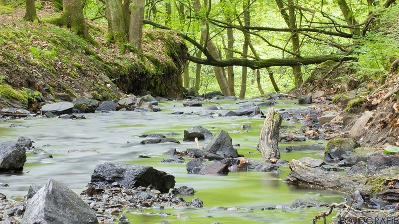 Ansicht einer Flusslandschaft auf dem Fotokurs Pro.