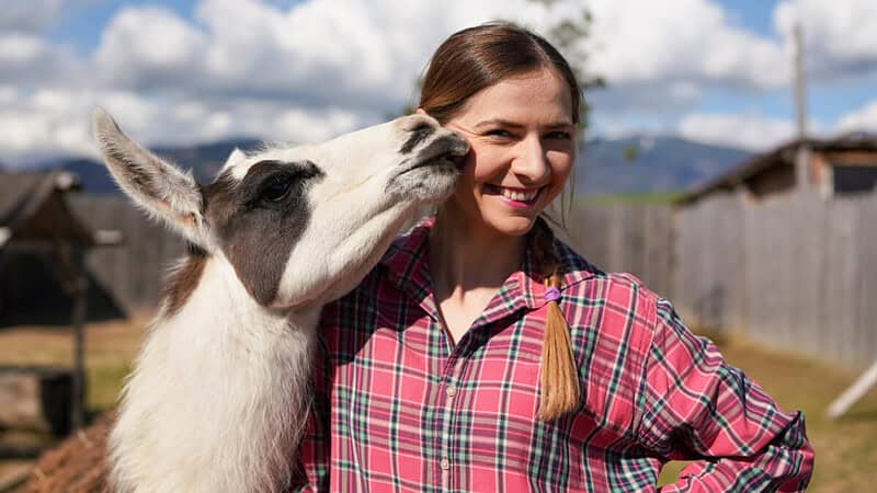 Ein Lama küsst eine Frau in einem karierten Hemd.