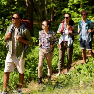 4 Freunde wandern zusammen durch einen Wald