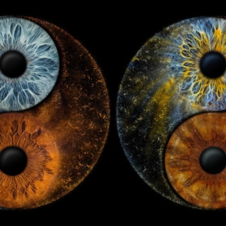 Ein Bild, bei dem die beiden Iriden so verbunden sind, dass sie ein Ying-Yang-Symbol bilden