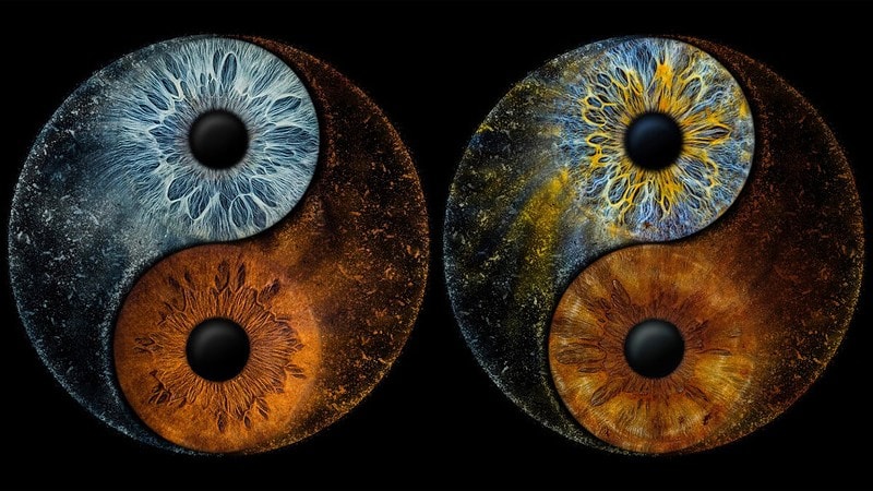 Ein Bild, bei dem die beiden Iriden so verbunden sind, dass sie ein Ying-Yang-Symbol bilden