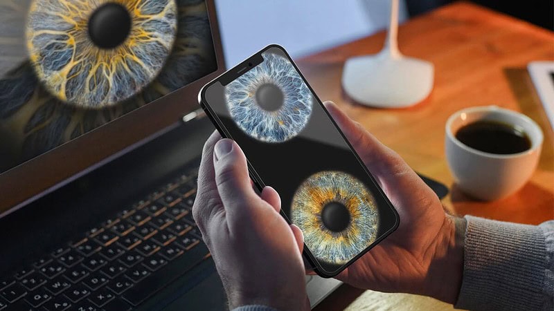 Eine Person importiert ein Bild von zwei Iriden von seinem Laptop auf sein Handy.