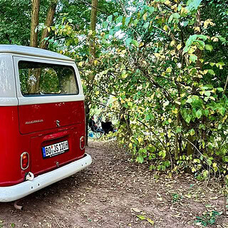 Deine Zeitreise- Bulli im Wald roter vw Bulli von schräg hinten fotografiert