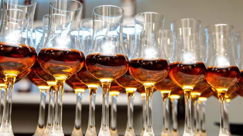 Mehrere Verkostungsgläser mit braunem Rum bei einem Rum Tasting, bereit für die Verkostung.